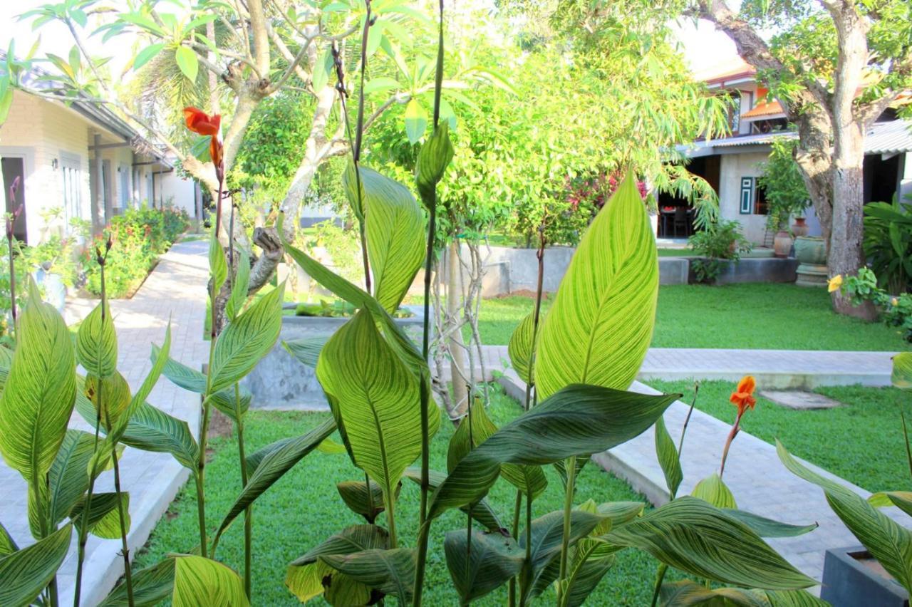 Morning Star Resorts Negombo Zewnętrze zdjęcie
